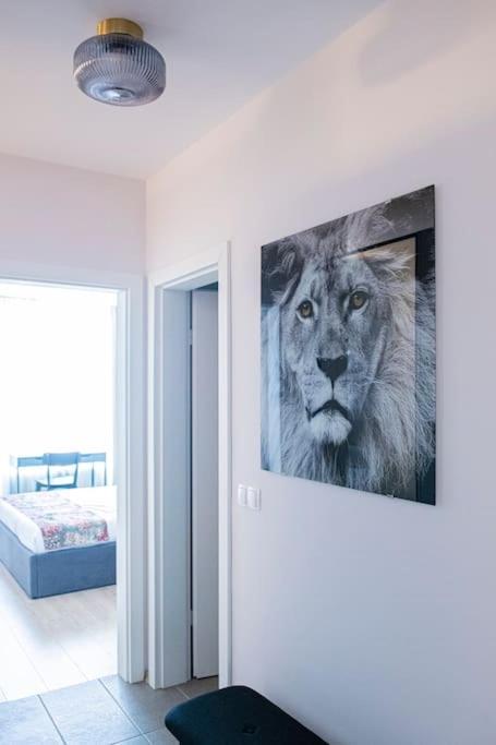 Tokiyo: A Lovely City Center 2 Bedrooms Apartment With Private Parking Sofia Extérieur photo